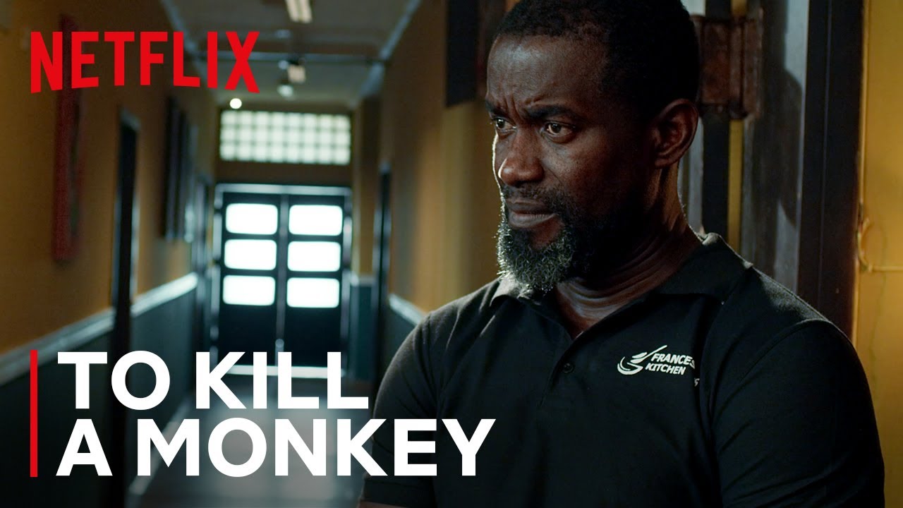 To Kill a Monkey Cast: Meet the Stars and Roles in Netflix's Gripping 2025 Nigerian Thriller
