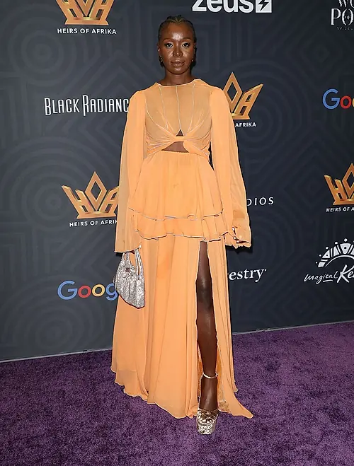 Folake Olowofoyeku