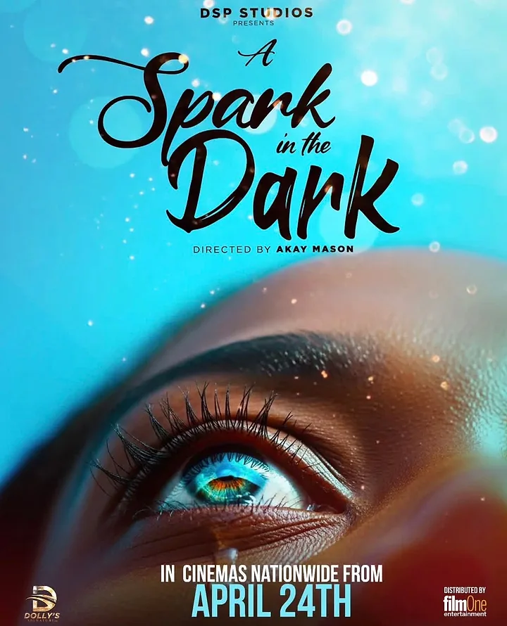 A Spark In The Dark movie poster