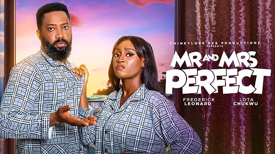 Mr & Mrs Perfect movie poster