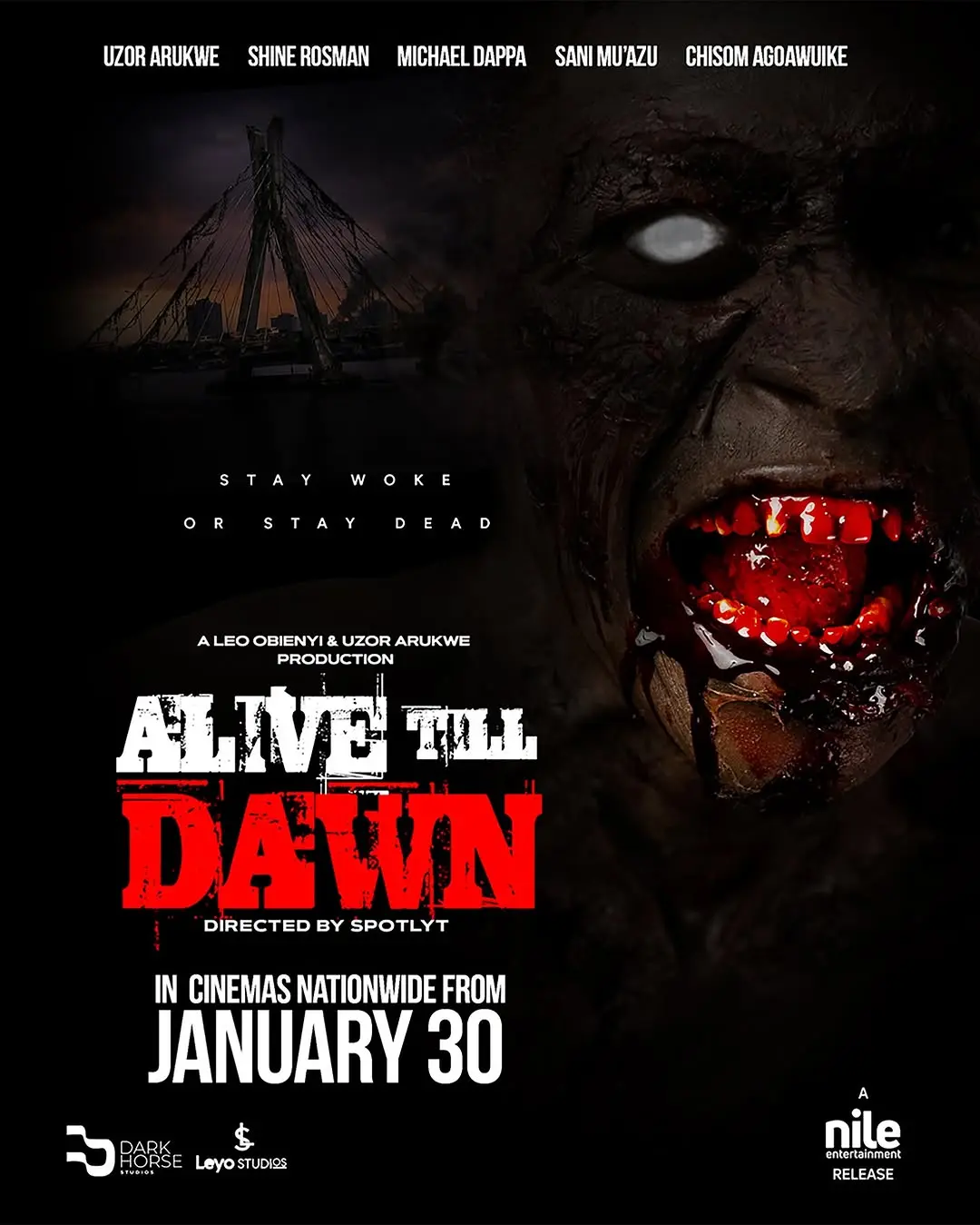 Alive Till Dawn movie poster