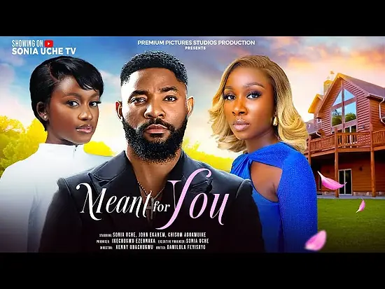 Meant For You movie poster