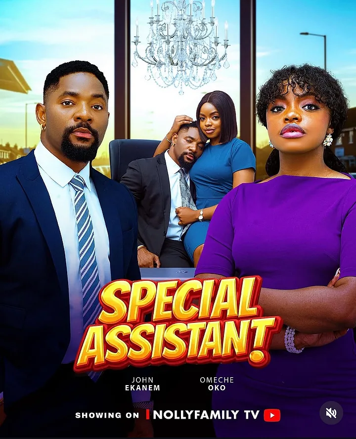 Special Assistant movie poster