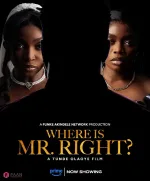 Where Is Mr Right?