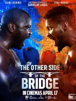 The Other Side Of The Bridge