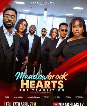 Meadowbrook Hearts: The Transition