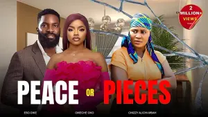 Peace Or Pieces