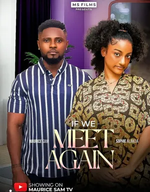 If We Meet Again
