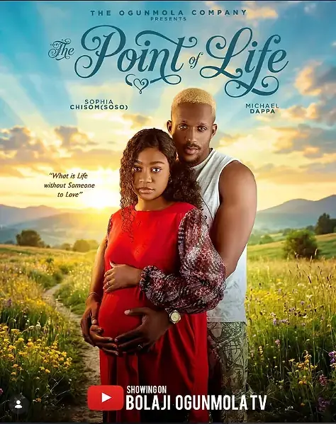 The Point Of Life movie poster