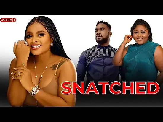 Snatched movie poster