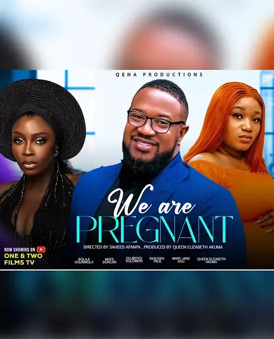 We Are Pregnant movie poster